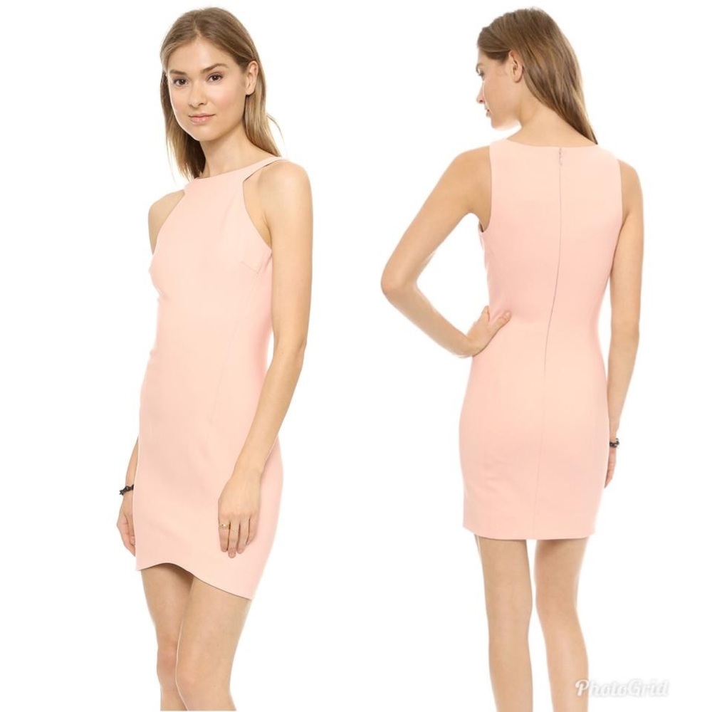 NWT Elizabeth & James Damon Sheath Dress